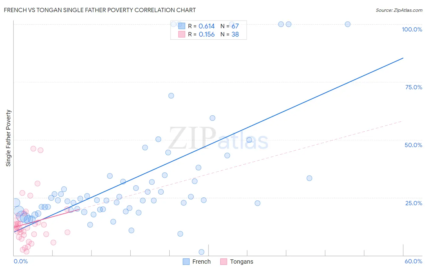 French vs Tongan Single Father Poverty