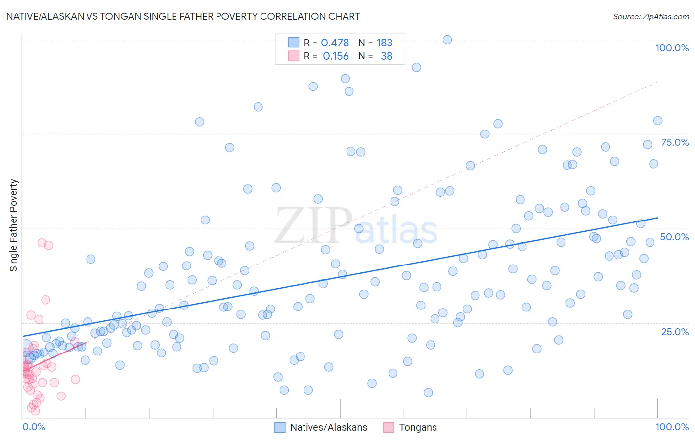 Native/Alaskan vs Tongan Single Father Poverty