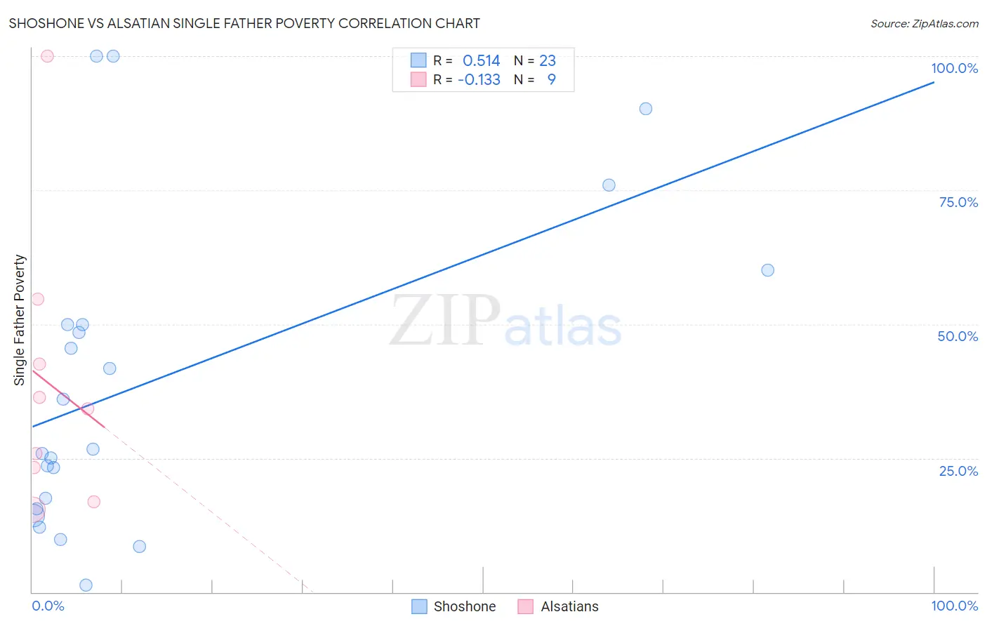 Shoshone vs Alsatian Single Father Poverty