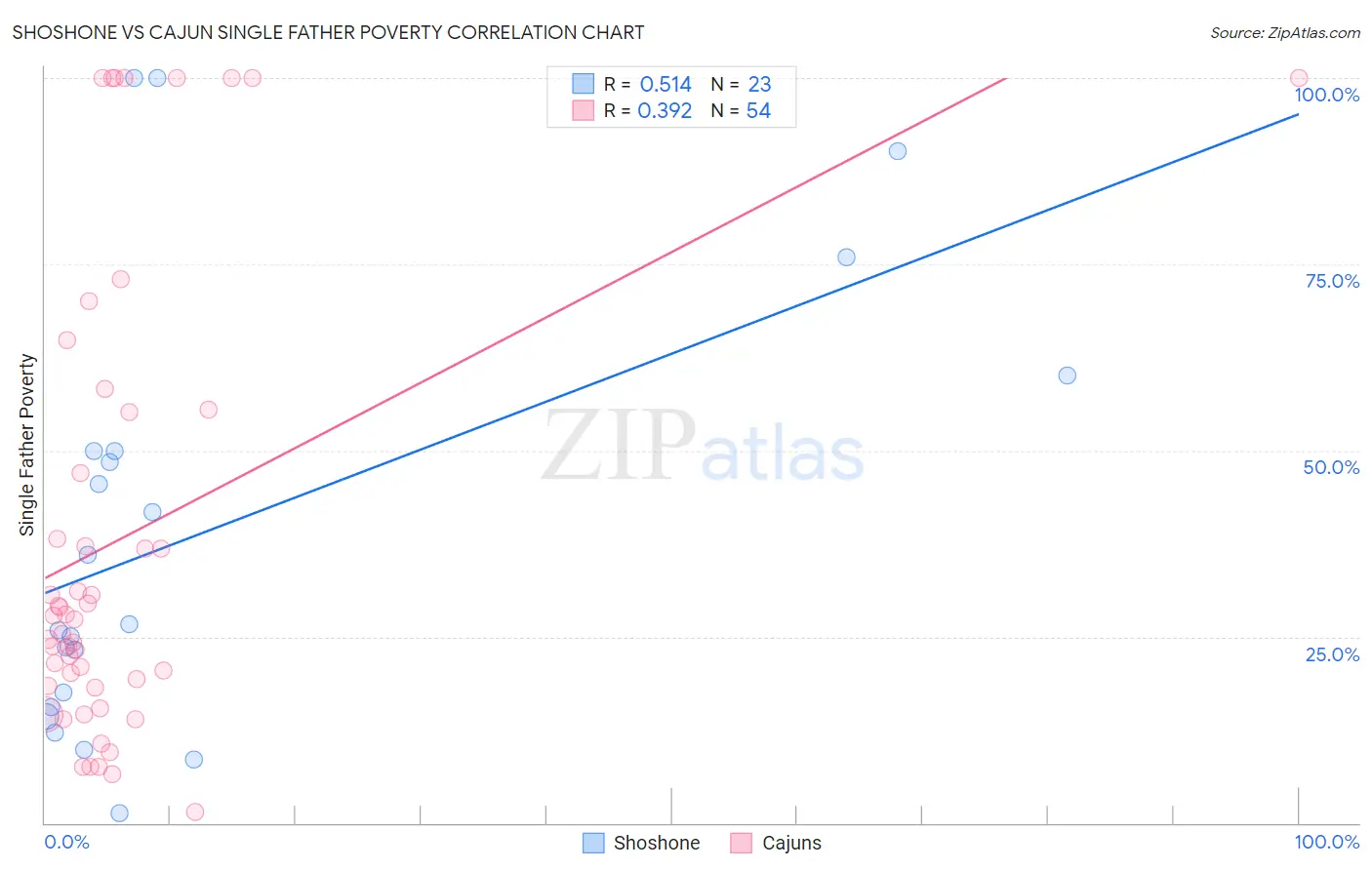 Shoshone vs Cajun Single Father Poverty