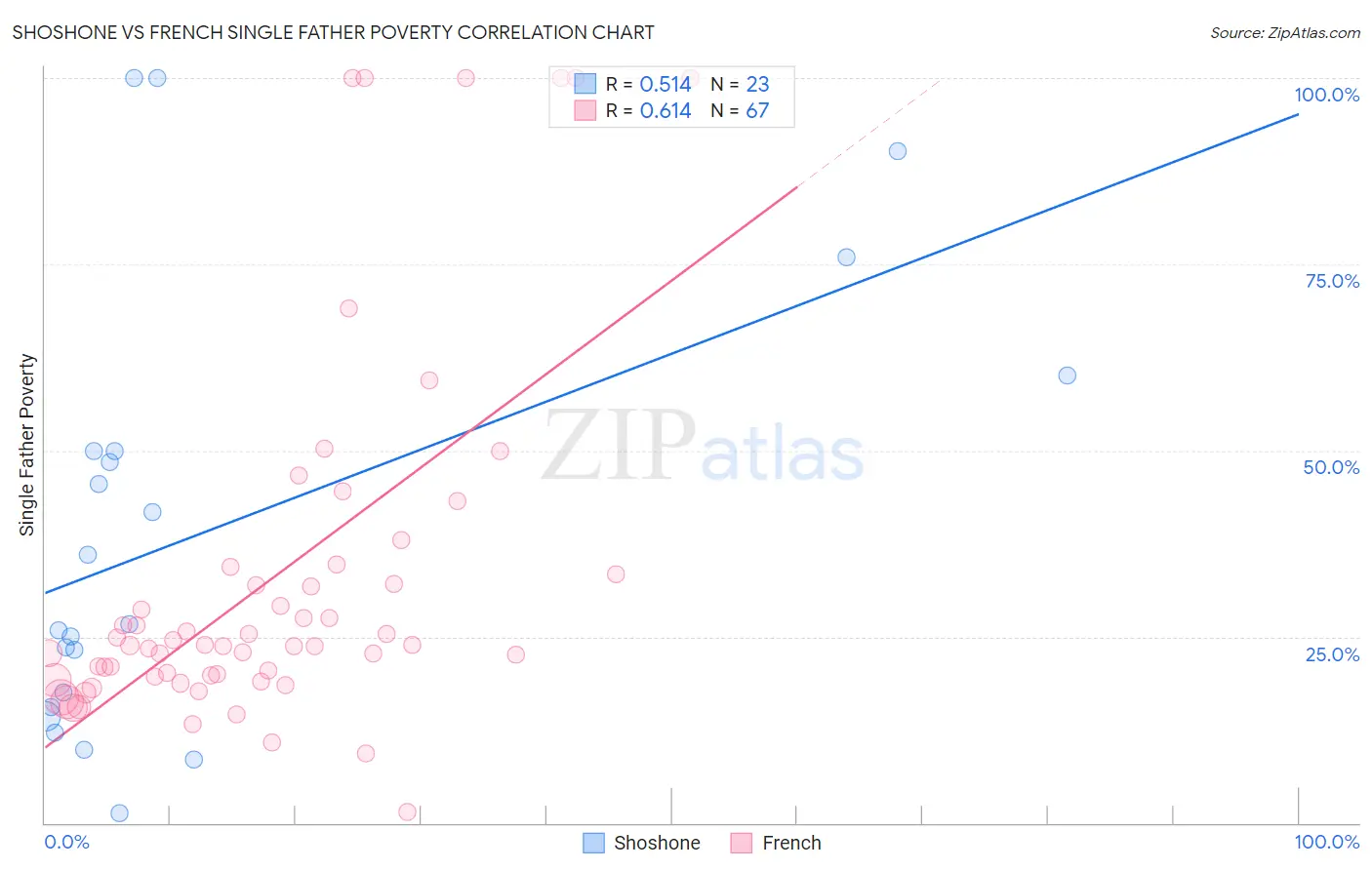 Shoshone vs French Single Father Poverty