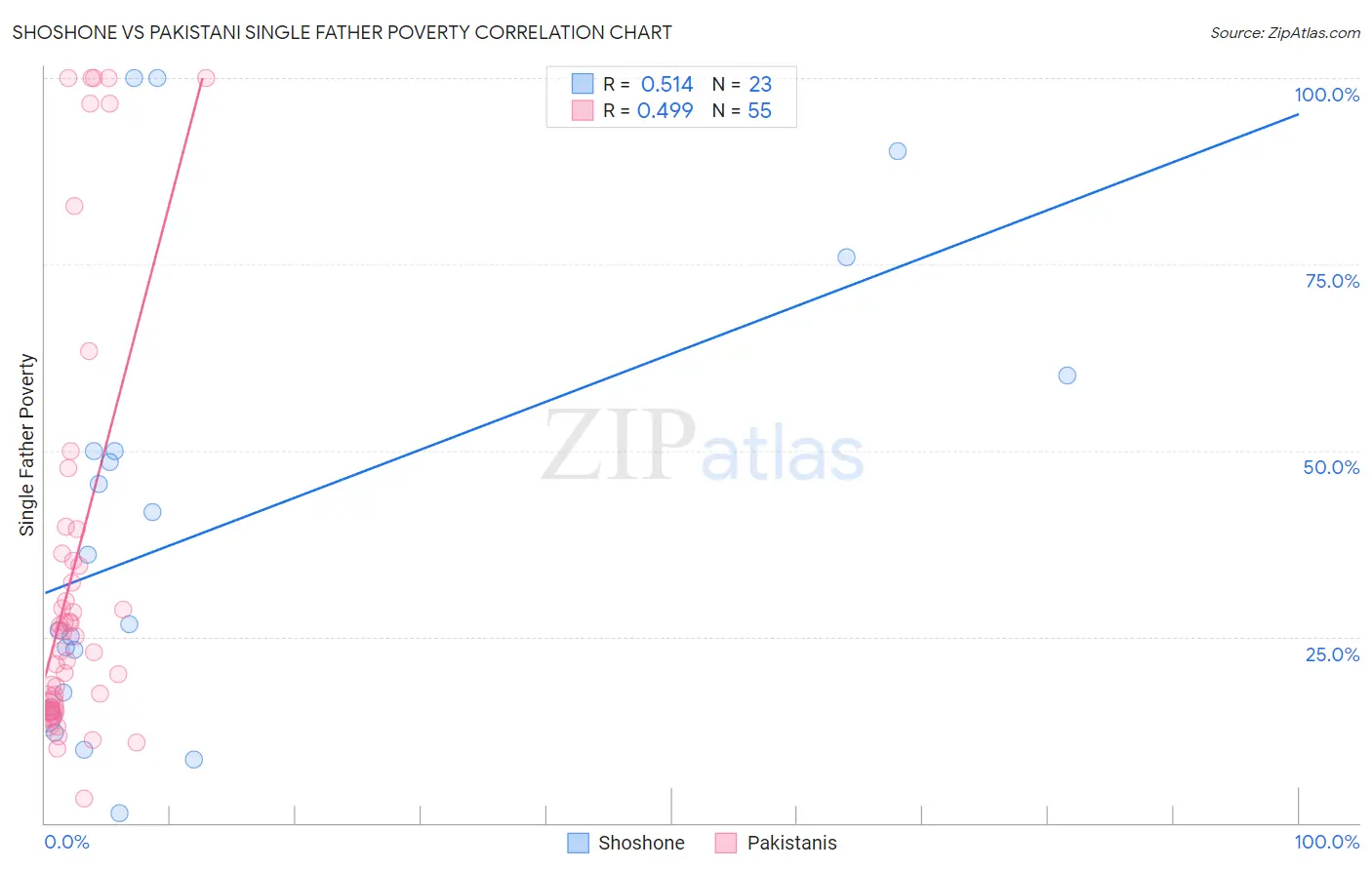 Shoshone vs Pakistani Single Father Poverty