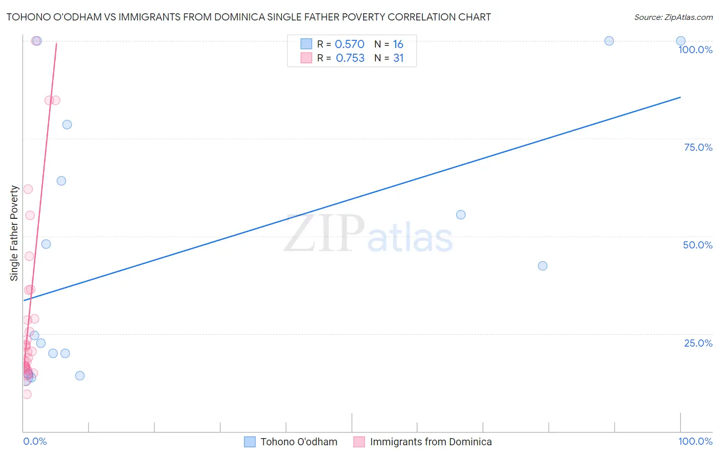 Tohono O'odham vs Immigrants from Dominica Single Father Poverty
