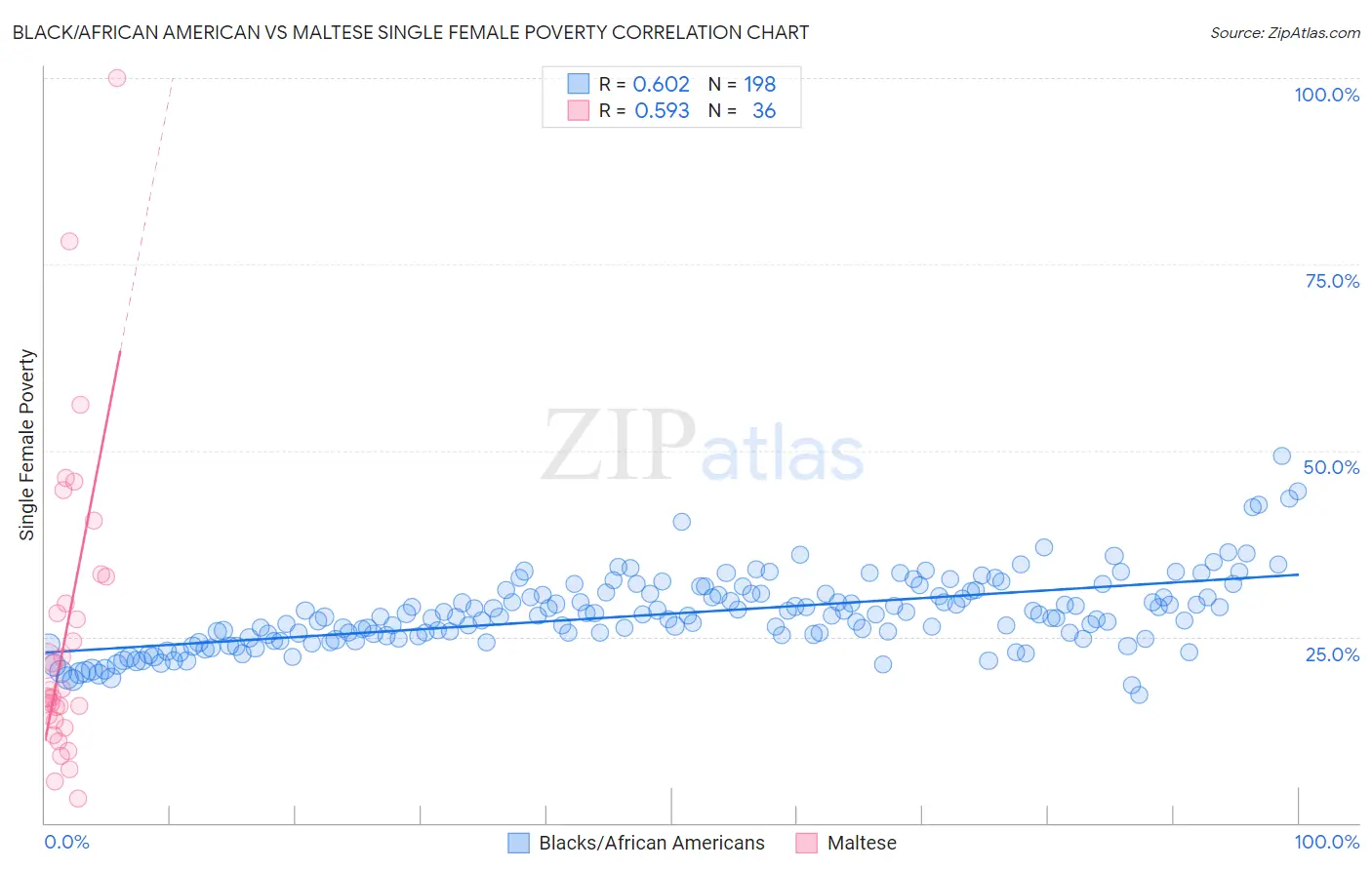 Black/African American vs Maltese Single Female Poverty