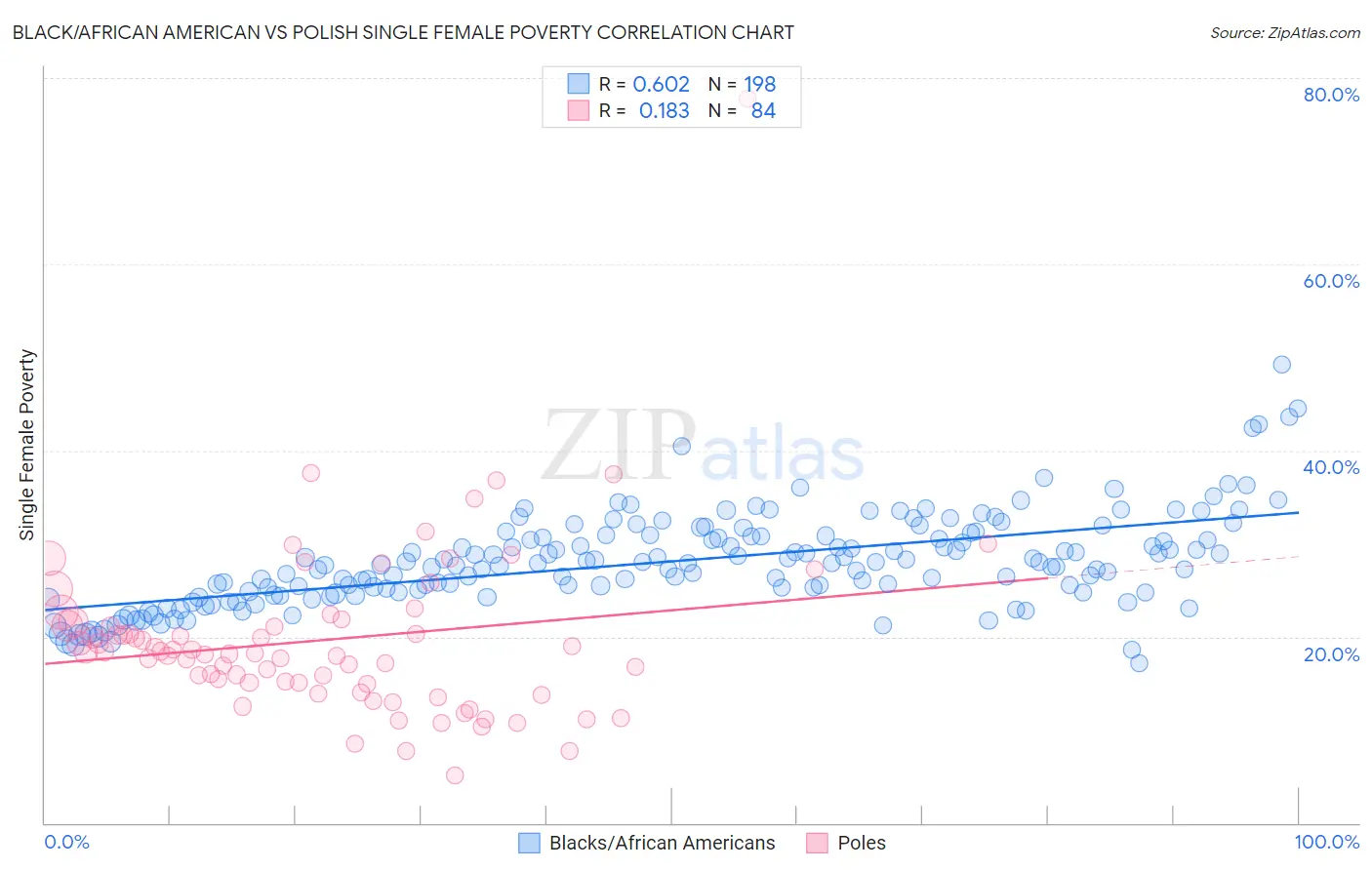 Black/African American vs Polish Single Female Poverty