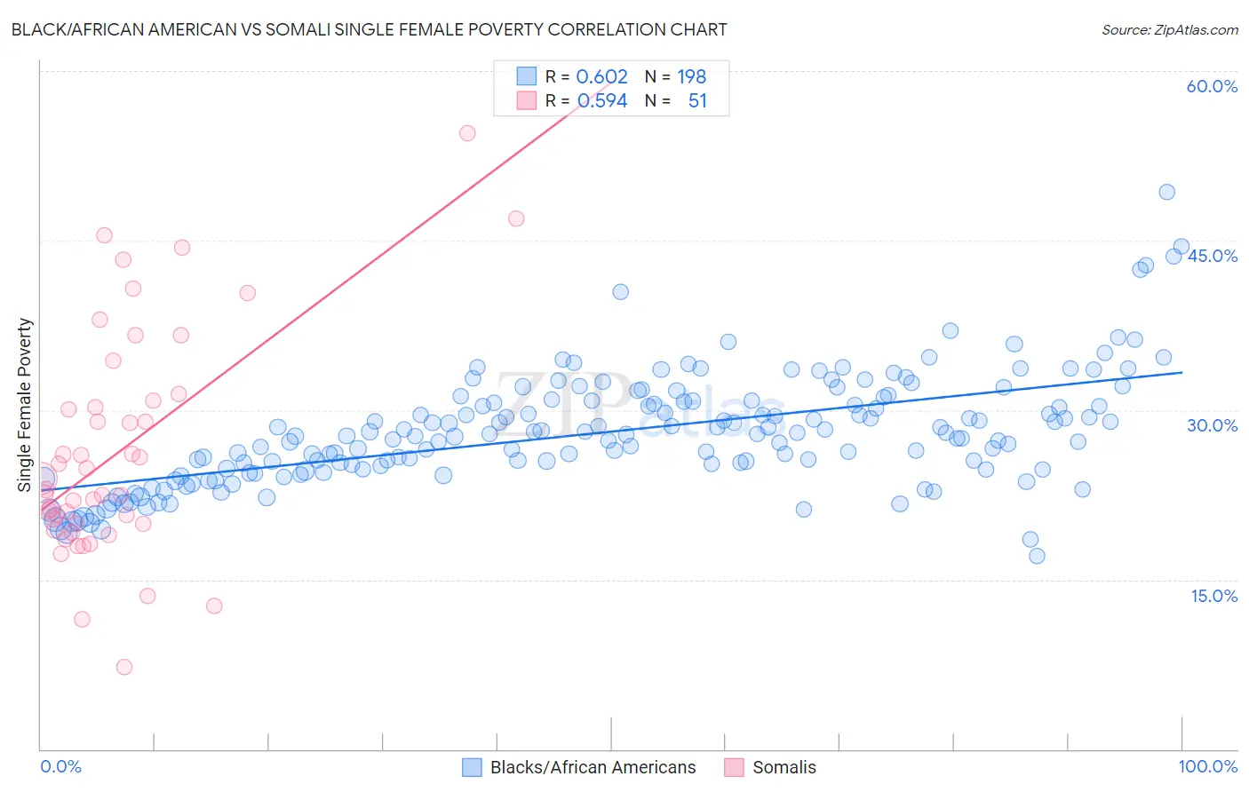 Black/African American vs Somali Single Female Poverty