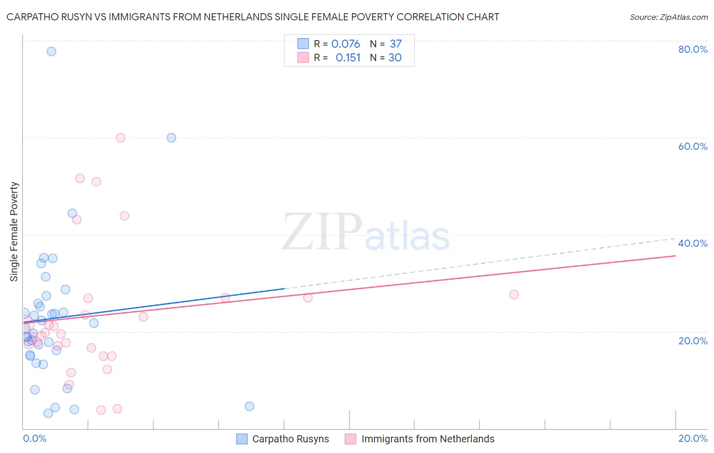 Carpatho Rusyn vs Immigrants from Netherlands Single Female Poverty