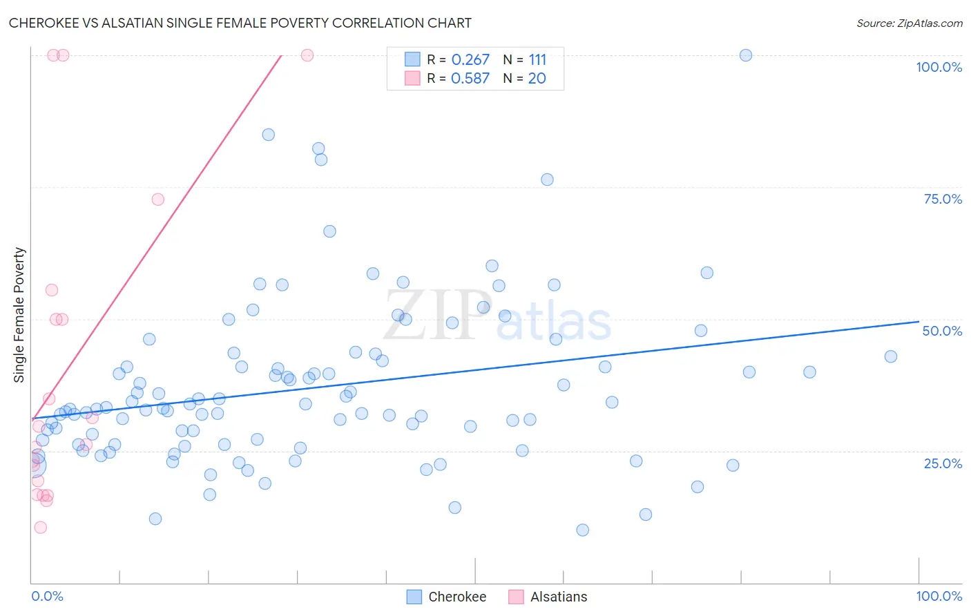 Cherokee vs Alsatian Single Female Poverty