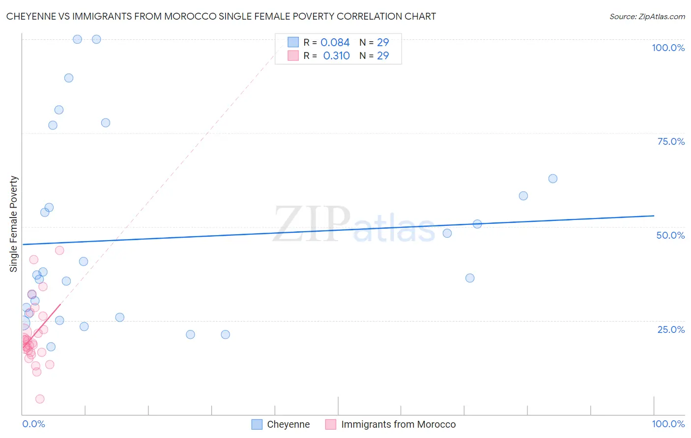 Cheyenne vs Immigrants from Morocco Single Female Poverty