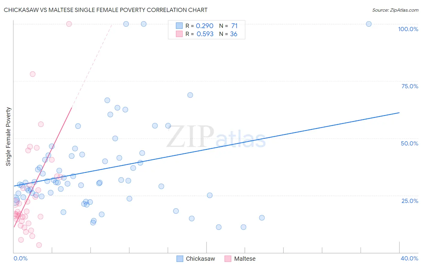 Chickasaw vs Maltese Single Female Poverty