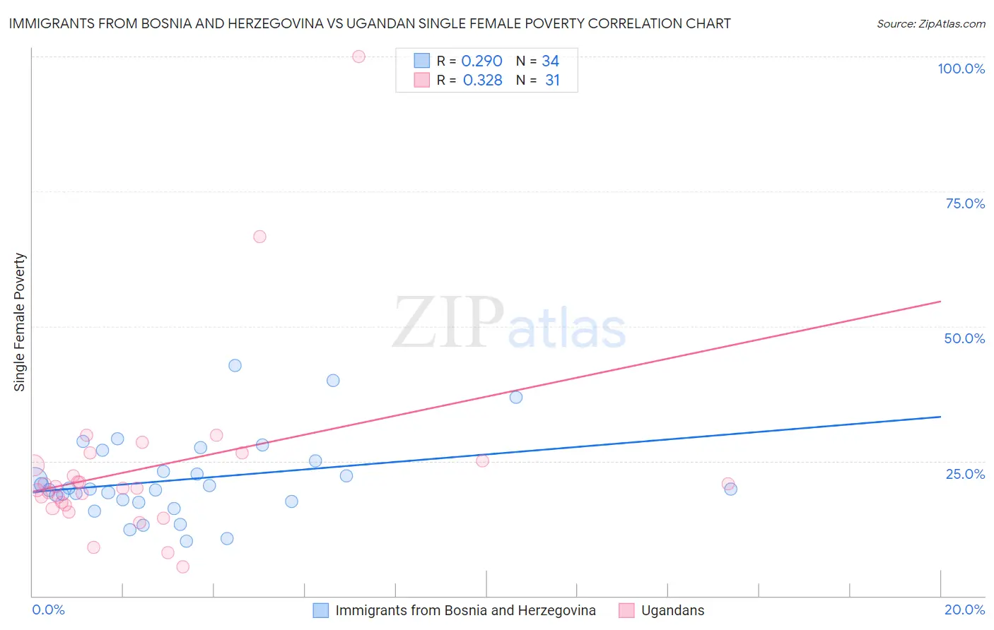 Immigrants from Bosnia and Herzegovina vs Ugandan Single Female Poverty