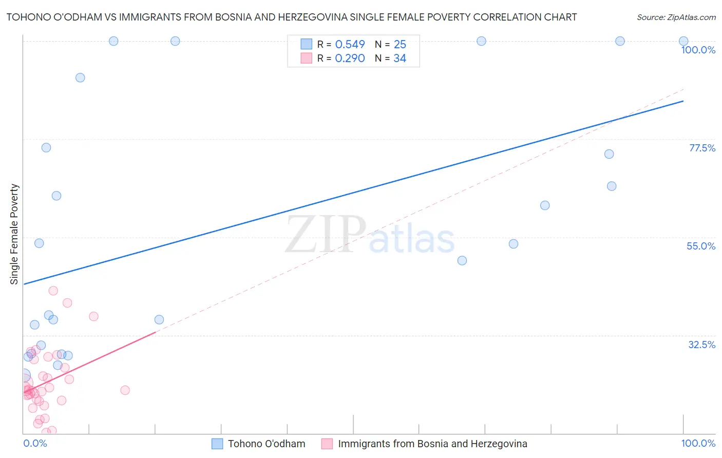 Tohono O'odham vs Immigrants from Bosnia and Herzegovina Single Female Poverty