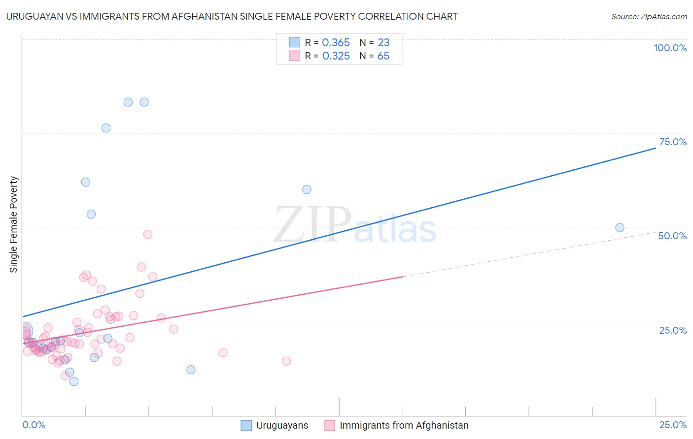 Uruguayan vs Immigrants from Afghanistan Single Female Poverty