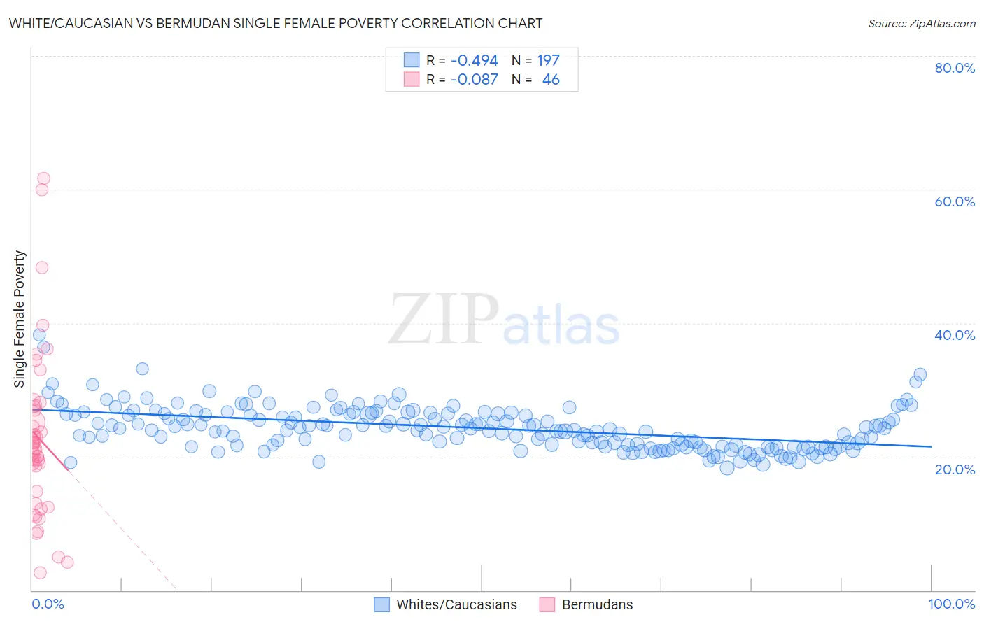 White/Caucasian vs Bermudan Single Female Poverty