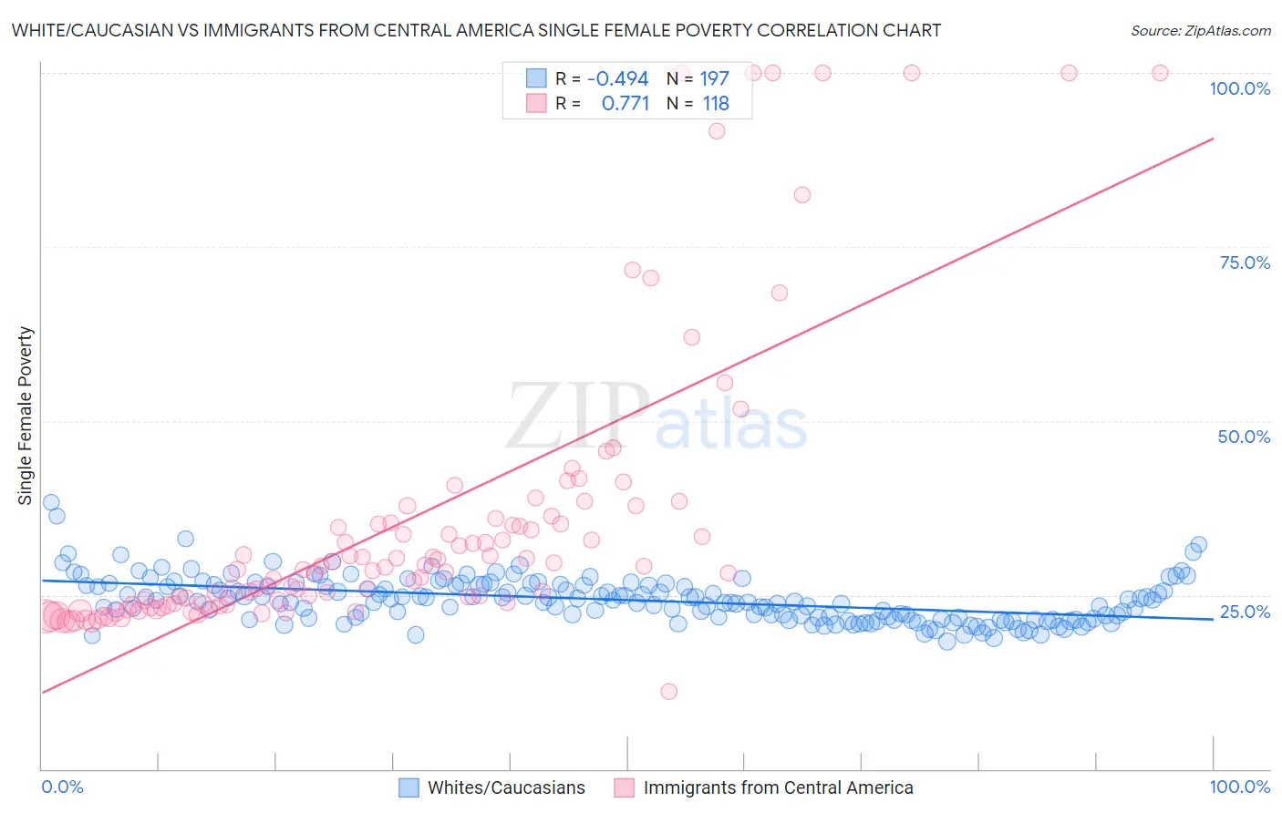 White/Caucasian vs Immigrants from Central America Single Female Poverty