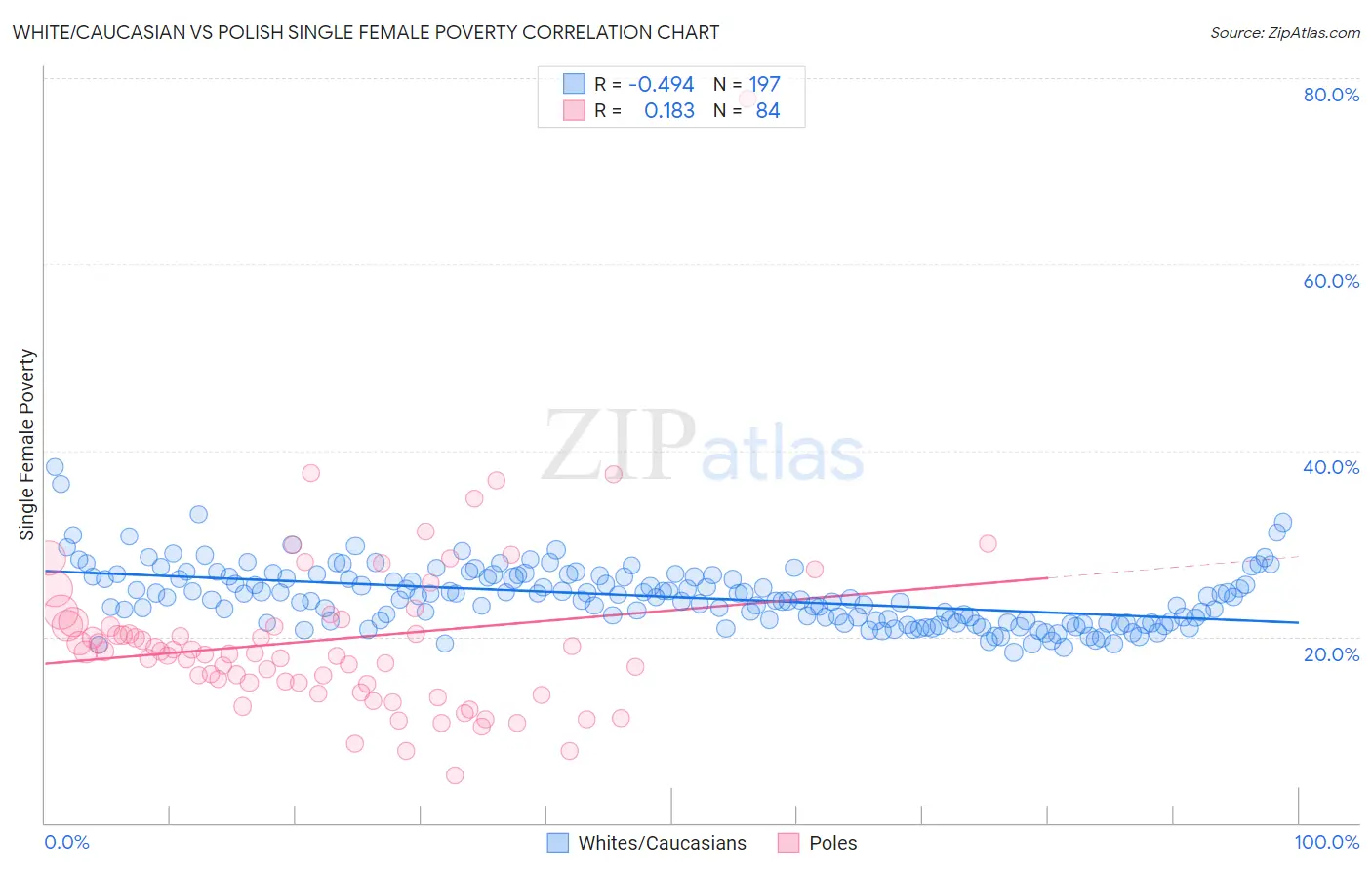 White/Caucasian vs Polish Single Female Poverty