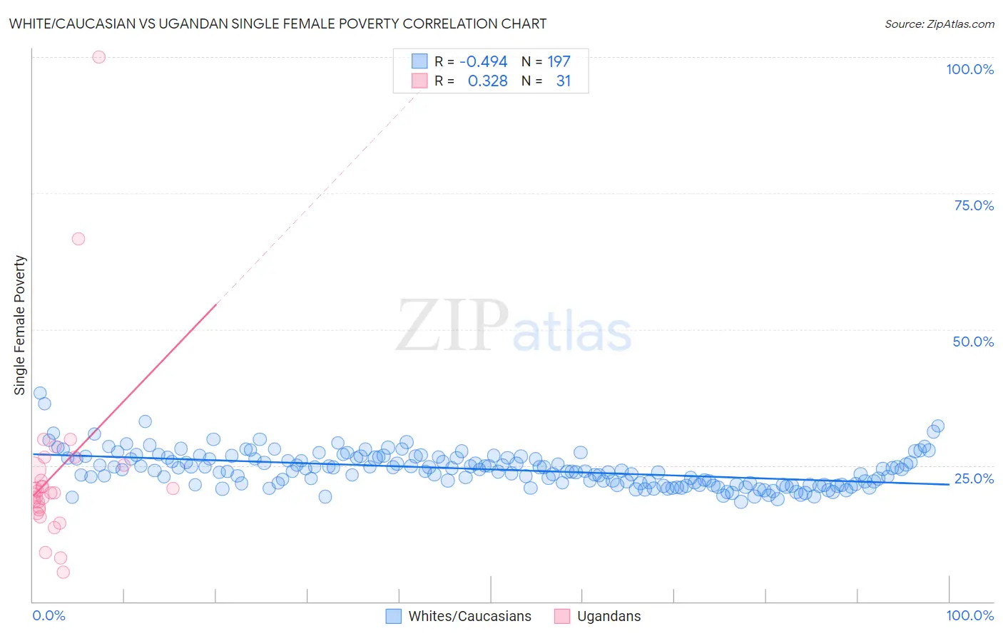 White/Caucasian vs Ugandan Single Female Poverty