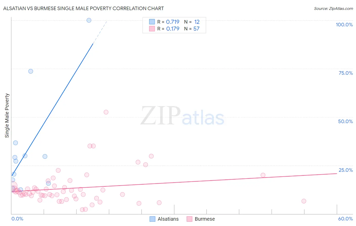 Alsatian vs Burmese Single Male Poverty