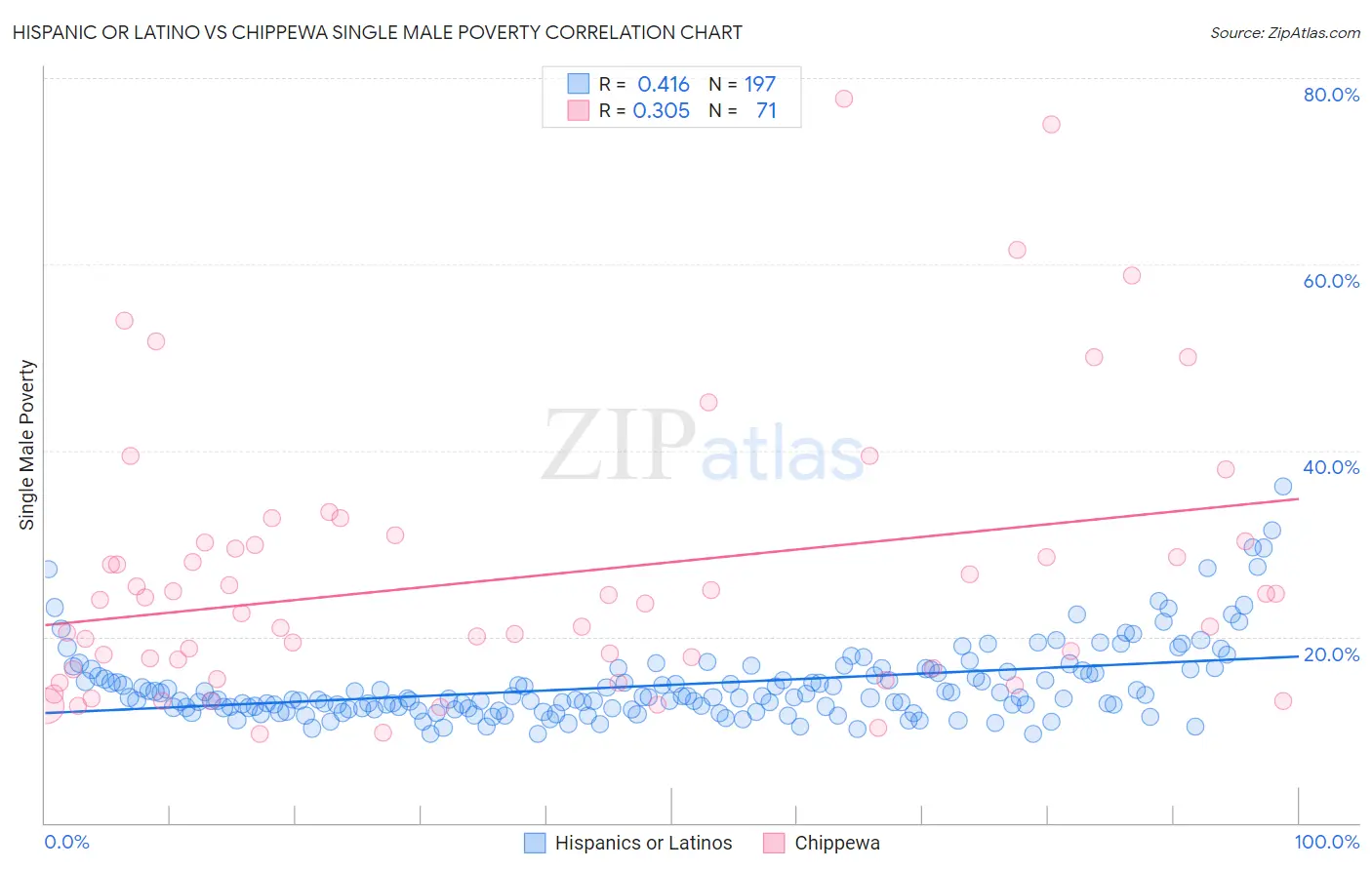 Hispanic or Latino vs Chippewa Single Male Poverty