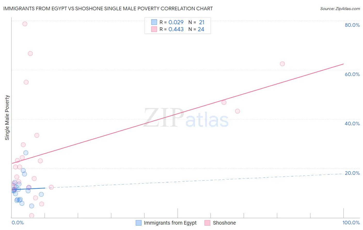 Immigrants from Egypt vs Shoshone Single Male Poverty