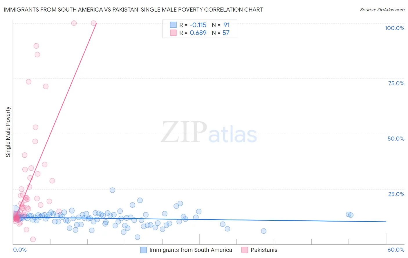 Immigrants from South America vs Pakistani Single Male Poverty