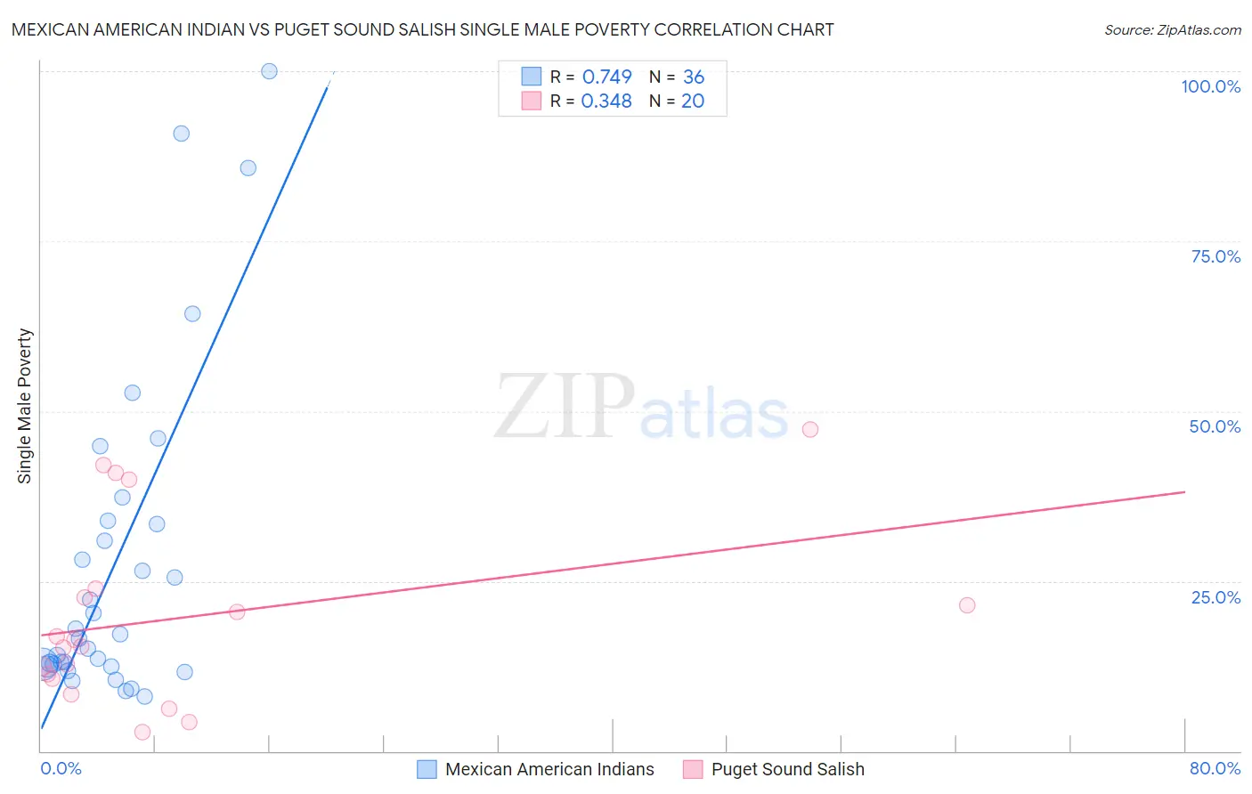 Mexican American Indian vs Puget Sound Salish Single Male Poverty