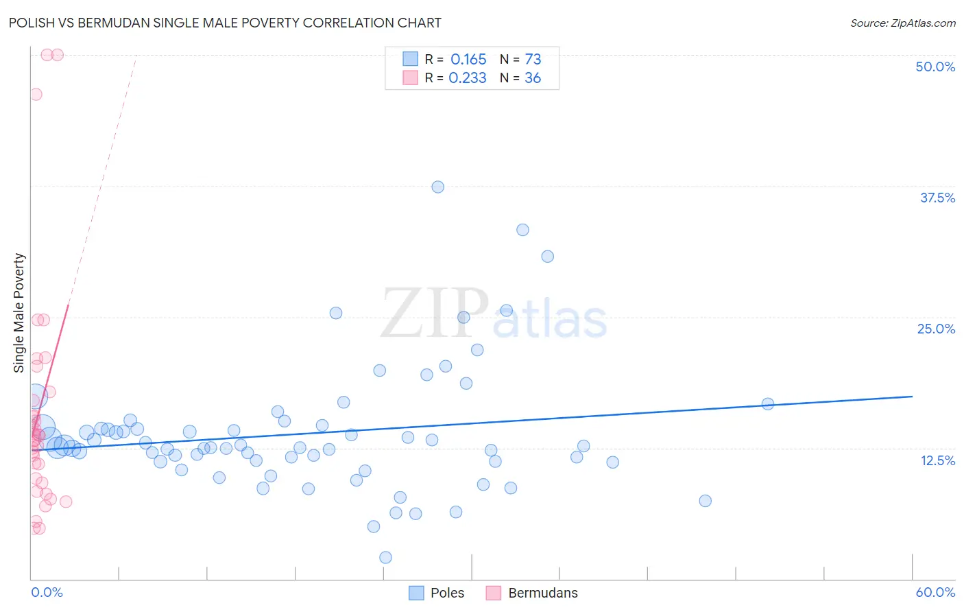 Polish vs Bermudan Single Male Poverty