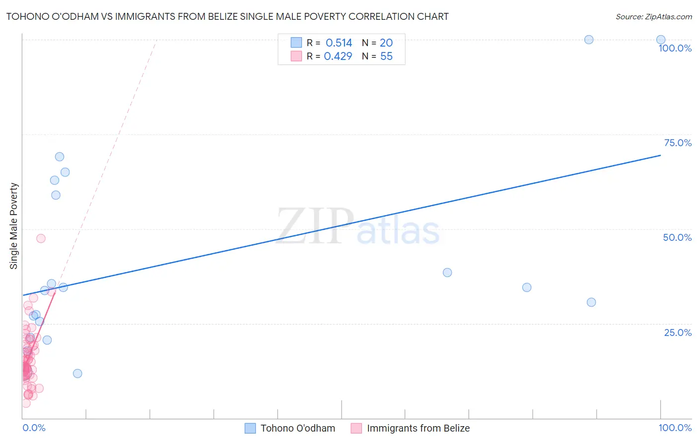 Tohono O'odham vs Immigrants from Belize Single Male Poverty