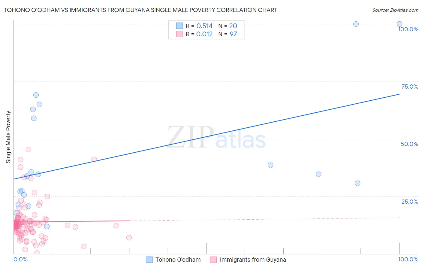 Tohono O'odham vs Immigrants from Guyana Single Male Poverty