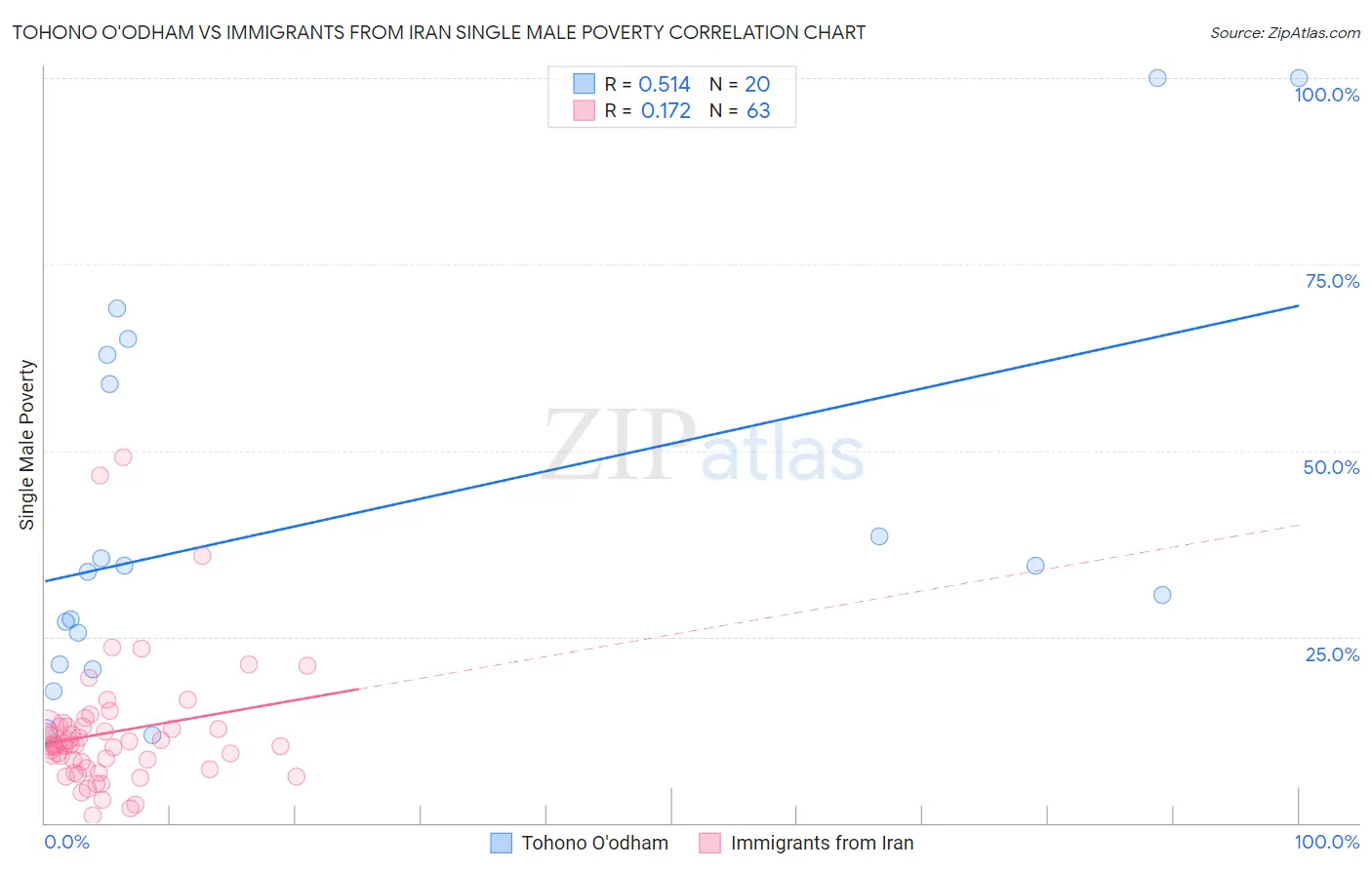Tohono O'odham vs Immigrants from Iran Single Male Poverty