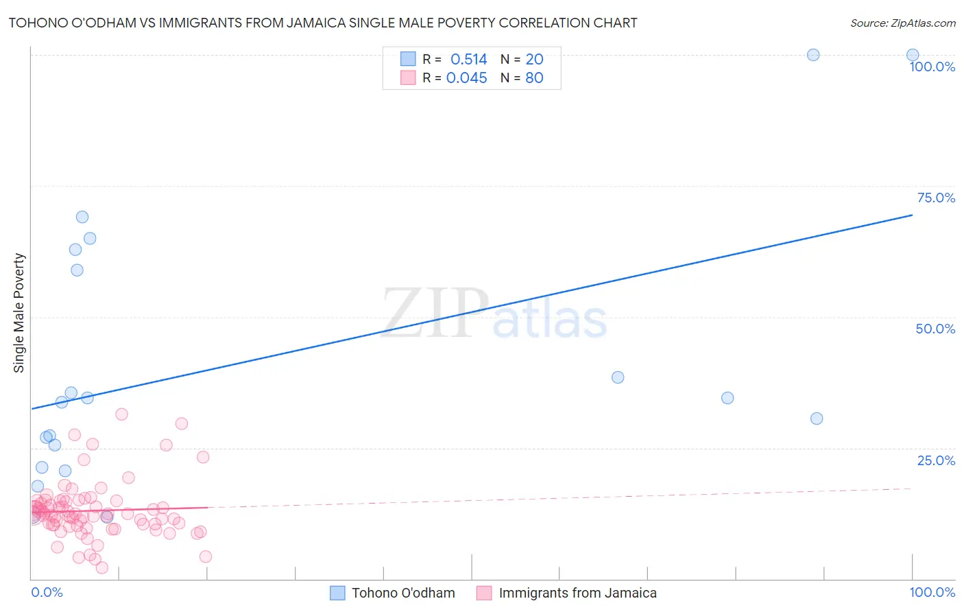 Tohono O'odham vs Immigrants from Jamaica Single Male Poverty