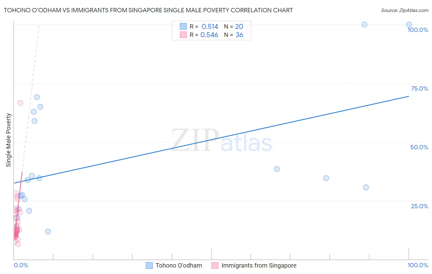Tohono O'odham vs Immigrants from Singapore Single Male Poverty
