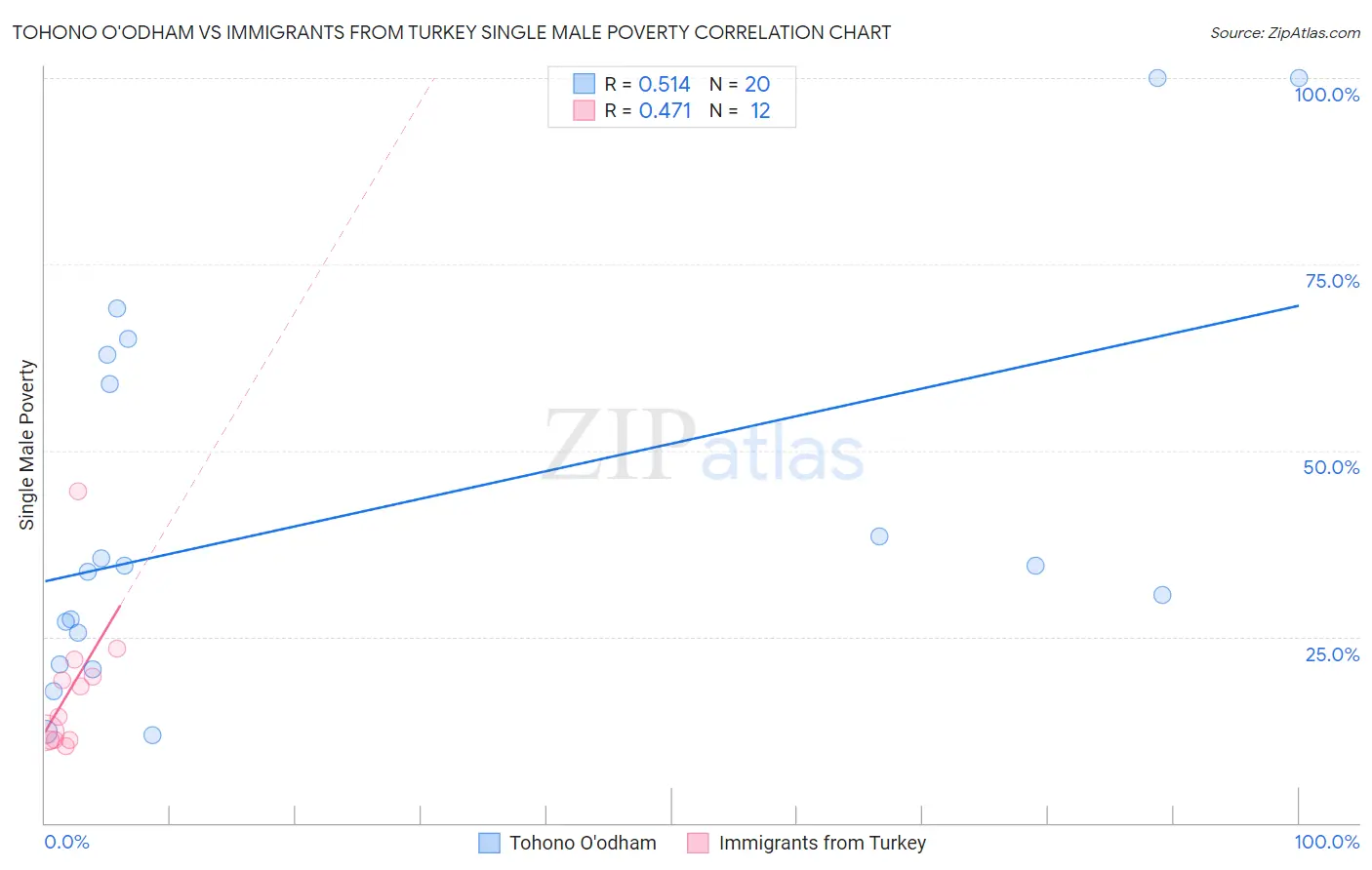 Tohono O'odham vs Immigrants from Turkey Single Male Poverty
