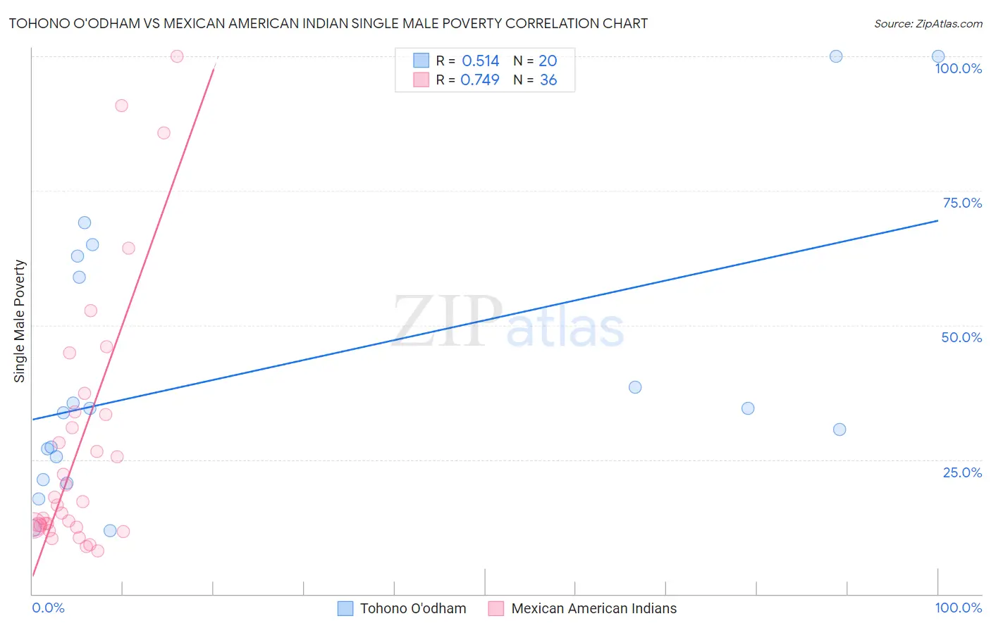 Tohono O'odham vs Mexican American Indian Single Male Poverty