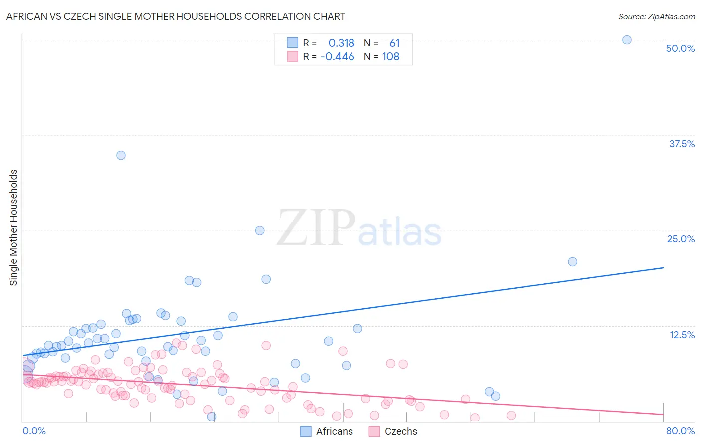 African vs Czech Single Mother Households
