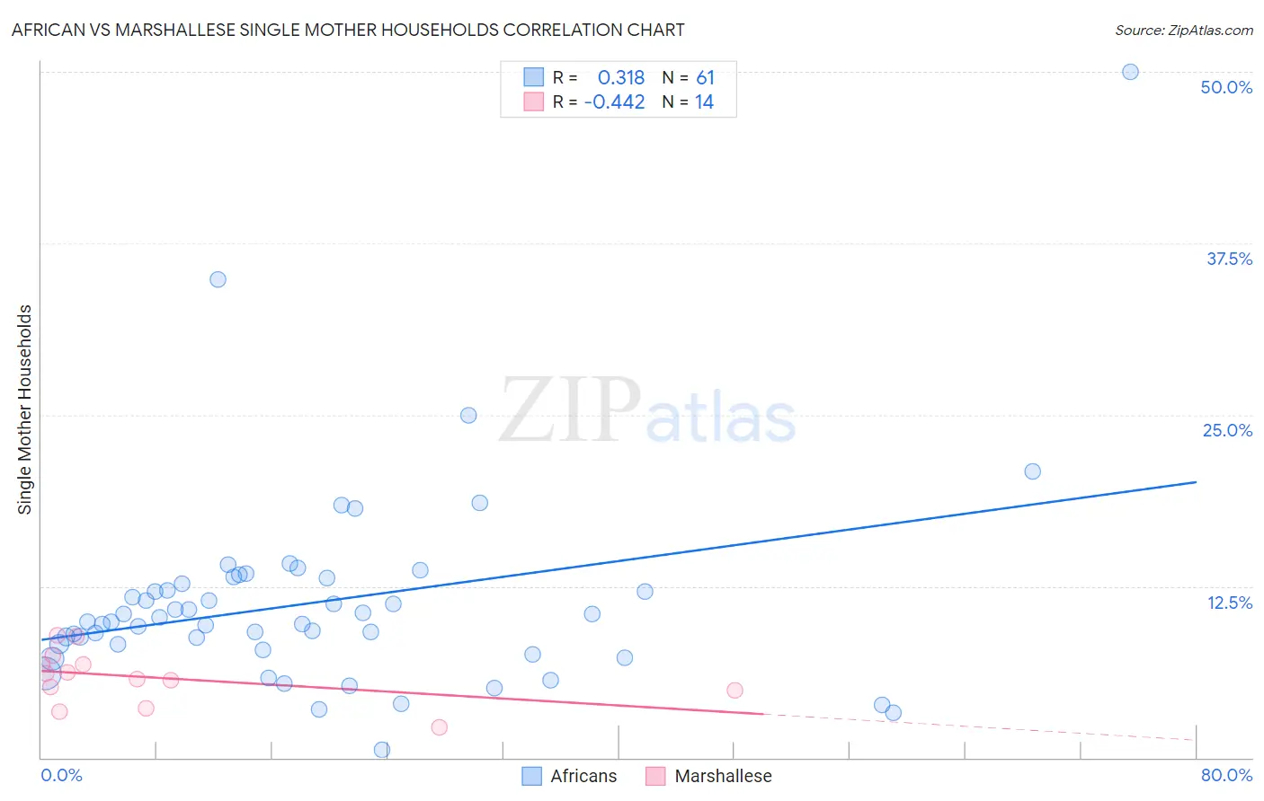 African vs Marshallese Single Mother Households
