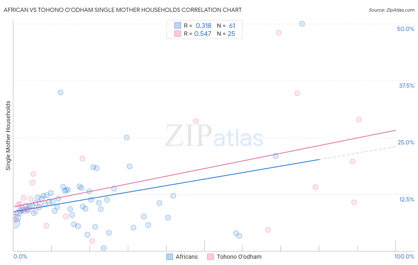 African vs Tohono O'odham Single Mother Households
