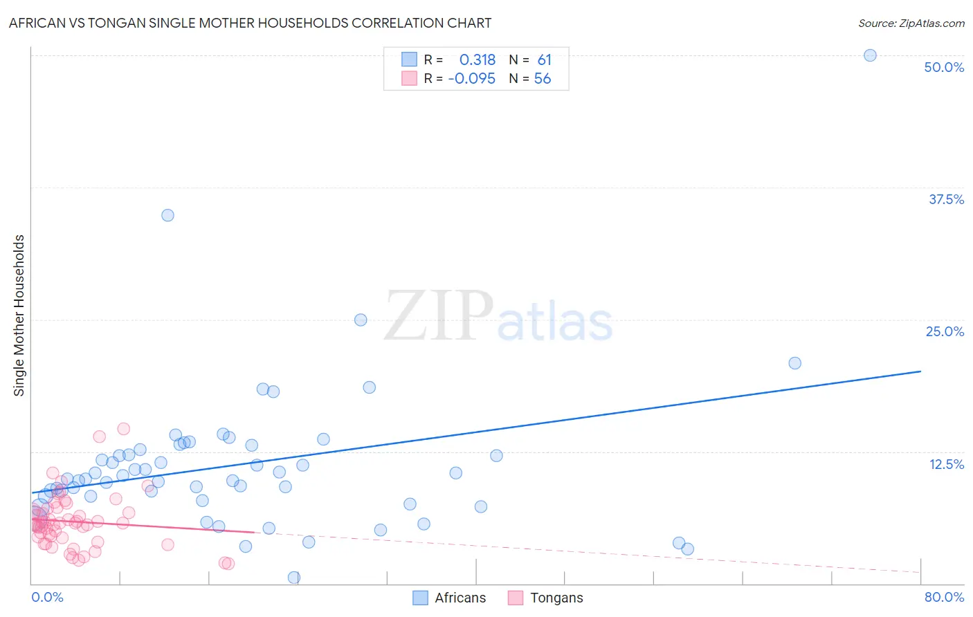 African vs Tongan Single Mother Households