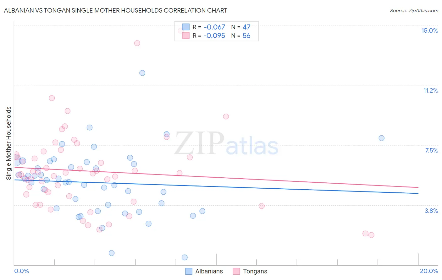 Albanian vs Tongan Single Mother Households