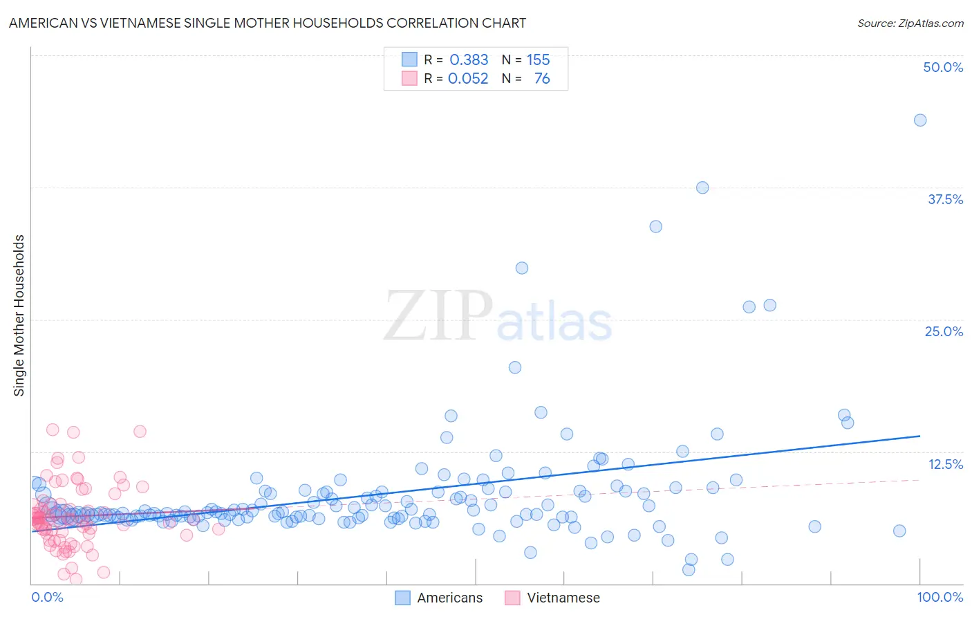 American vs Vietnamese Single Mother Households