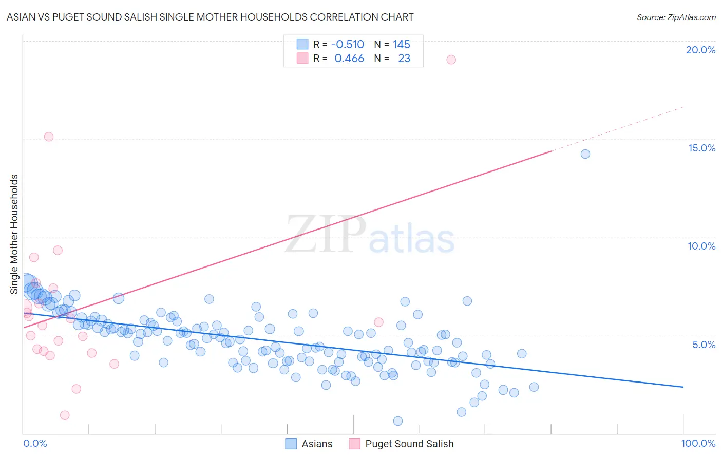 Asian vs Puget Sound Salish Single Mother Households