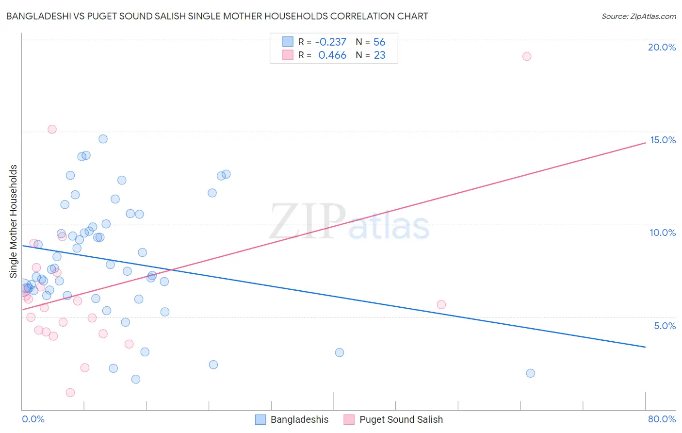 Bangladeshi vs Puget Sound Salish Single Mother Households