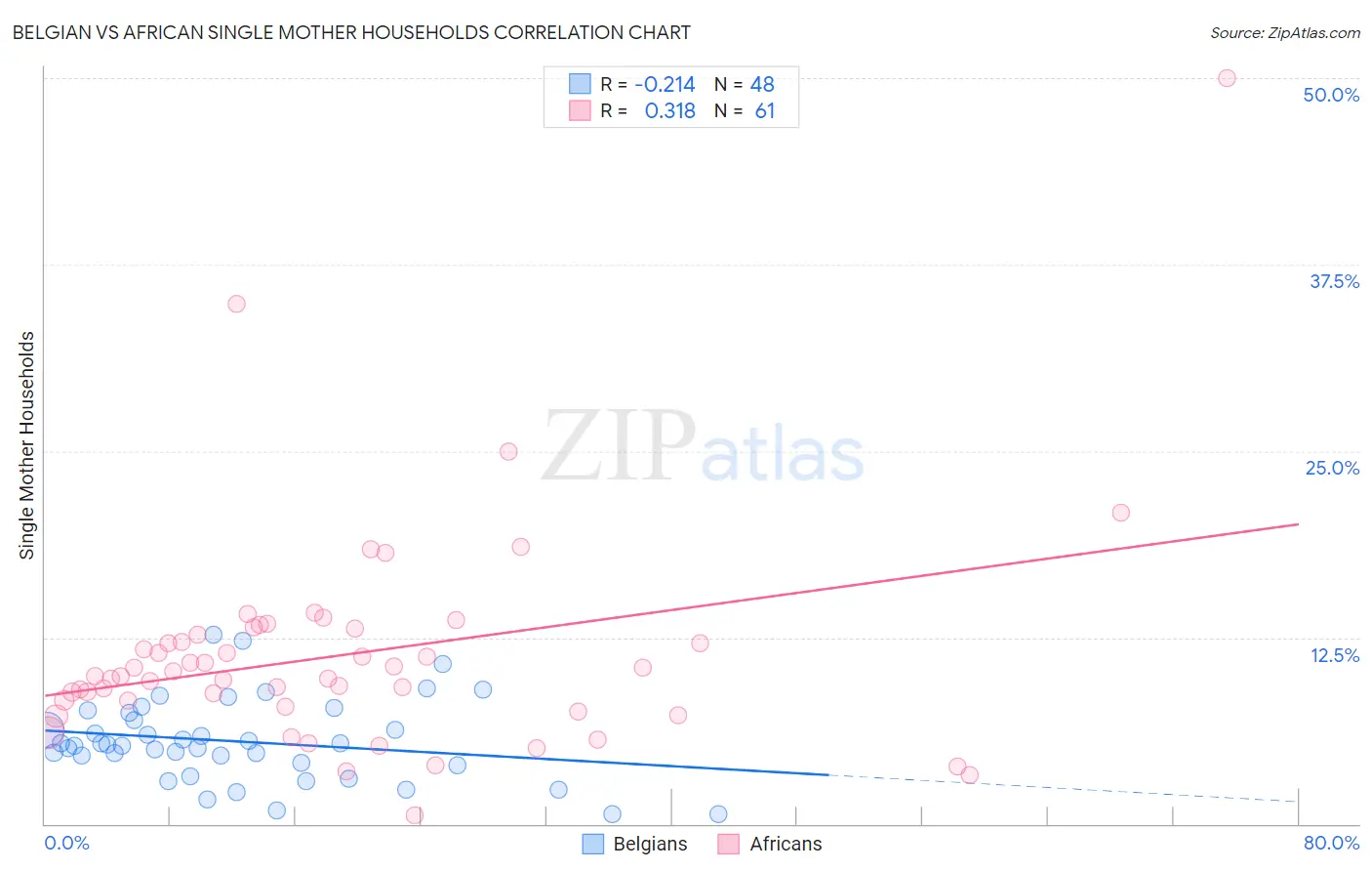 Belgian vs African Single Mother Households