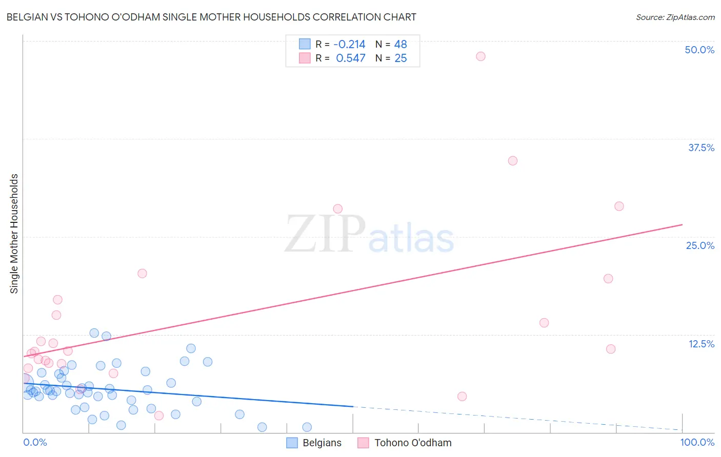 Belgian vs Tohono O'odham Single Mother Households