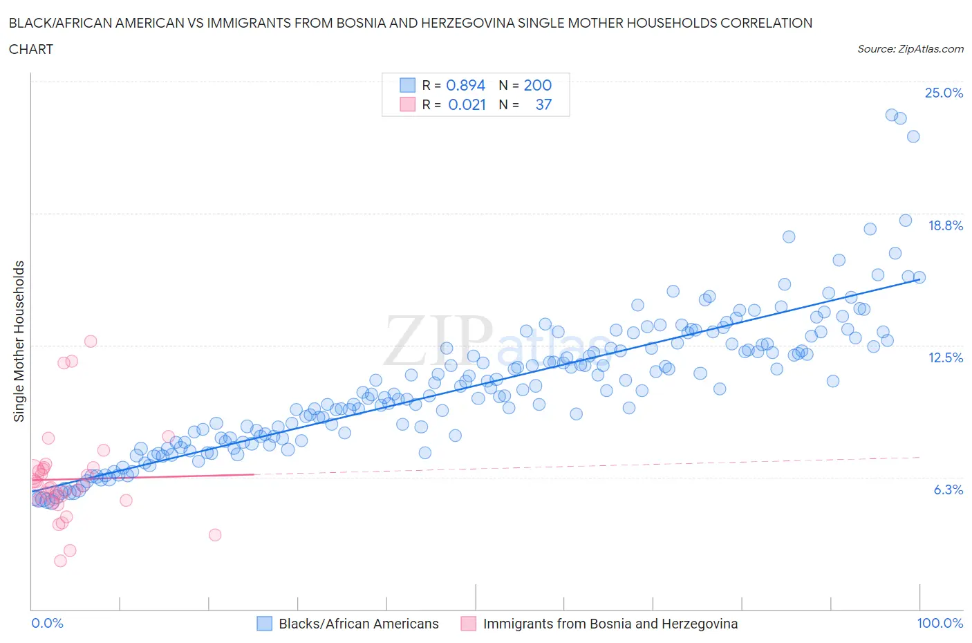 Black/African American vs Immigrants from Bosnia and Herzegovina Single Mother Households