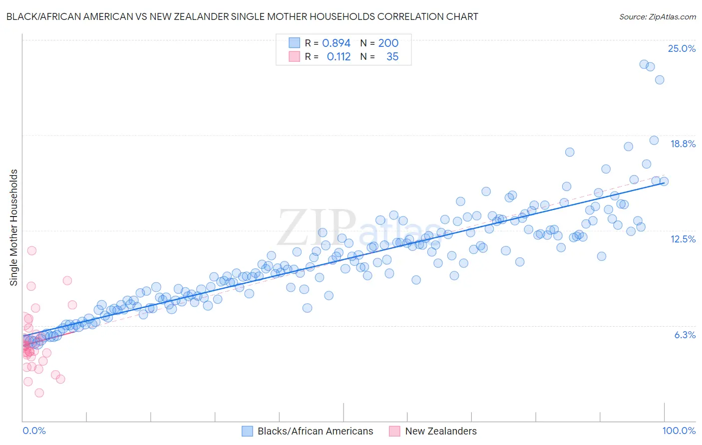 Black/African American vs New Zealander Single Mother Households