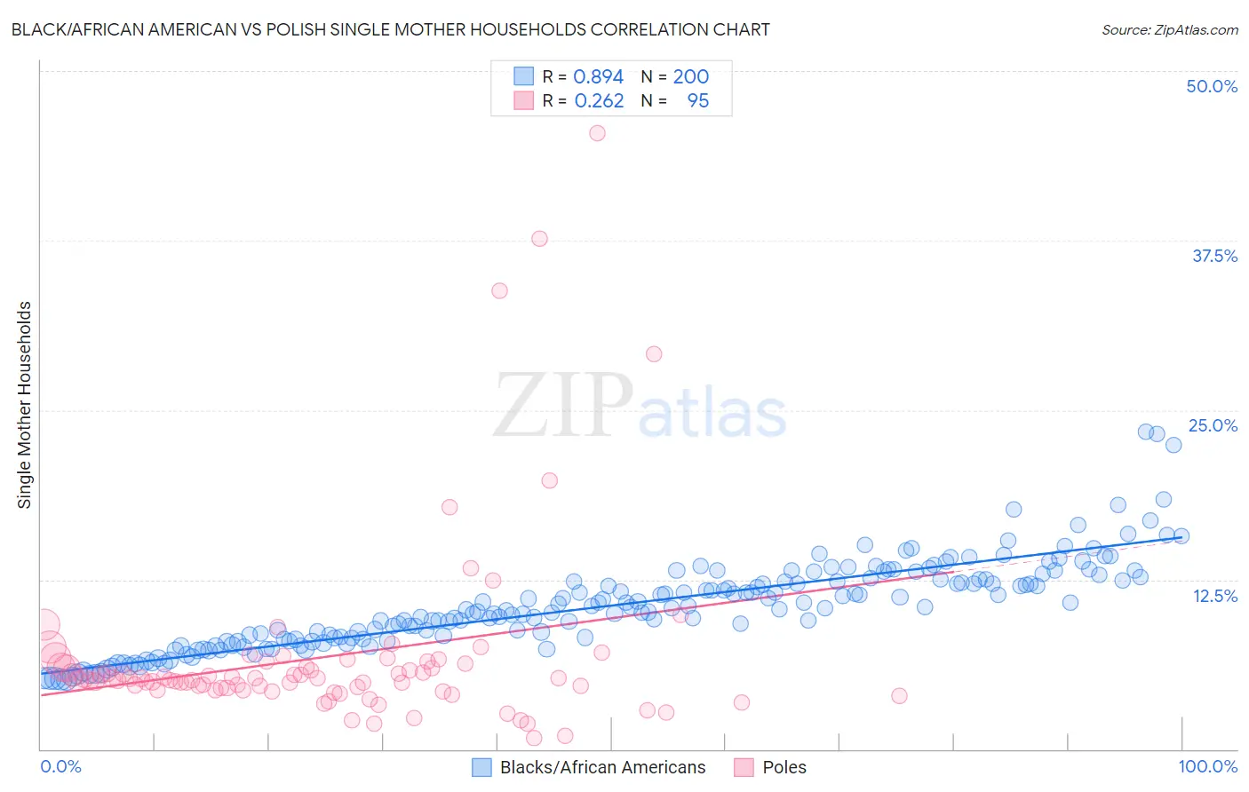Black/African American vs Polish Single Mother Households