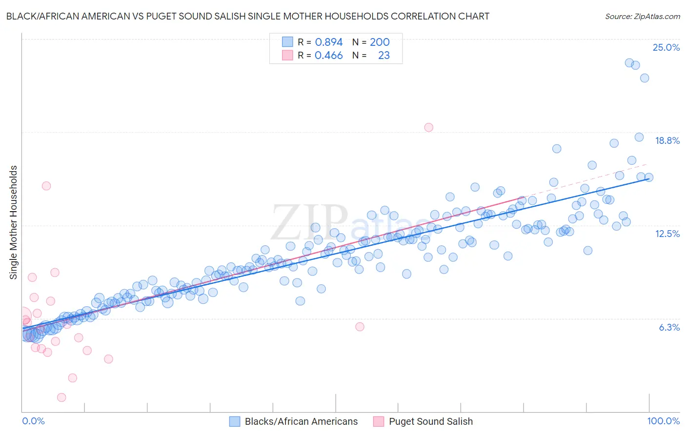 Black/African American vs Puget Sound Salish Single Mother Households