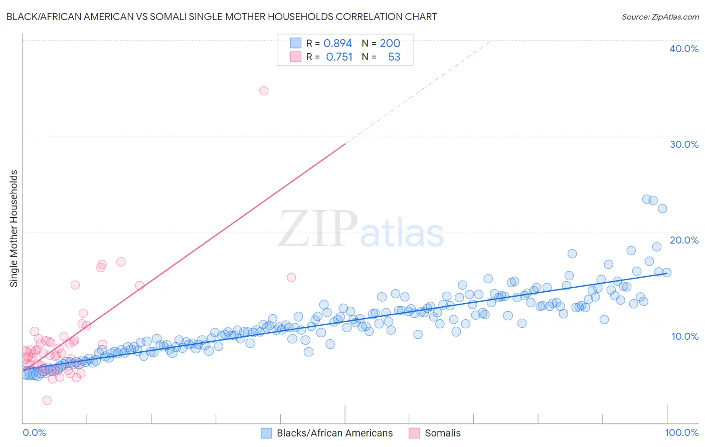 Black/African American vs Somali Single Mother Households