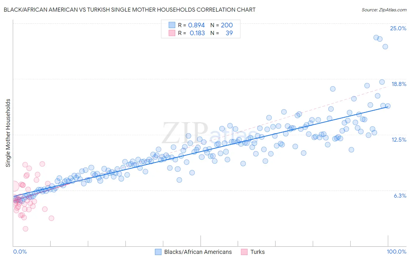 Black/African American vs Turkish Single Mother Households